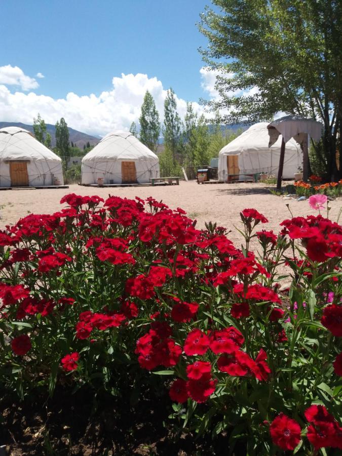 Yurt Camp Tosor Hotel Kültér fotó